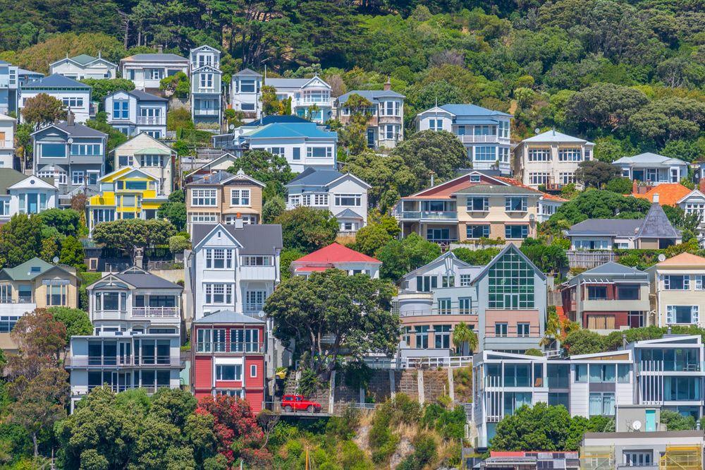 Wellington Rental Supply Spikes as Rents Dip