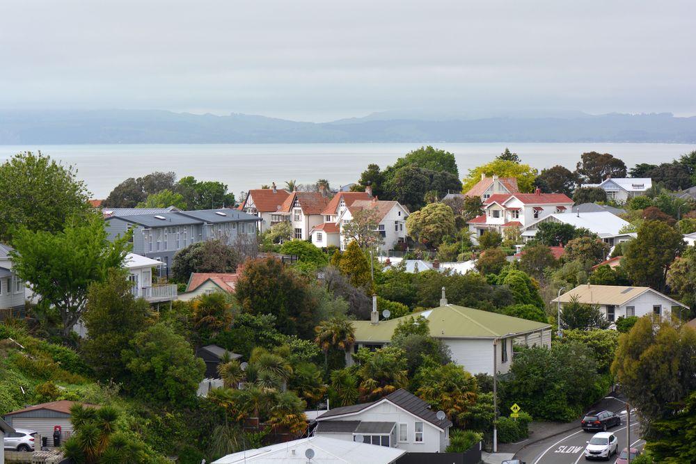Hawke’s Bay Rentals Buck the Trend as Supply Surges