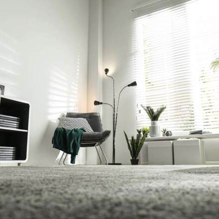 Carpet Cleaning for Rentals