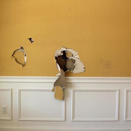 Fair Wear and Tear Versus Tenant Damage