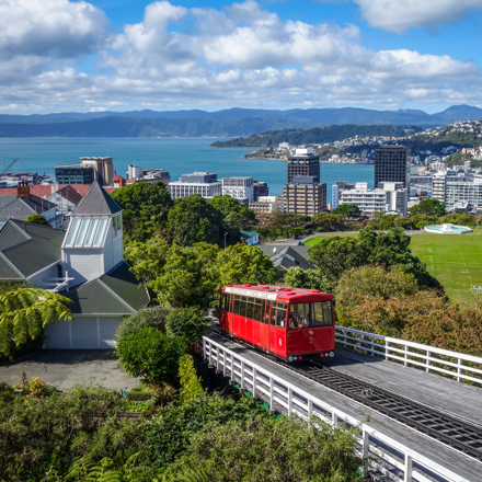 Rental Property in Wellington