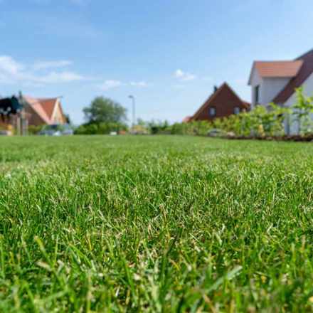 Subdividing a Property